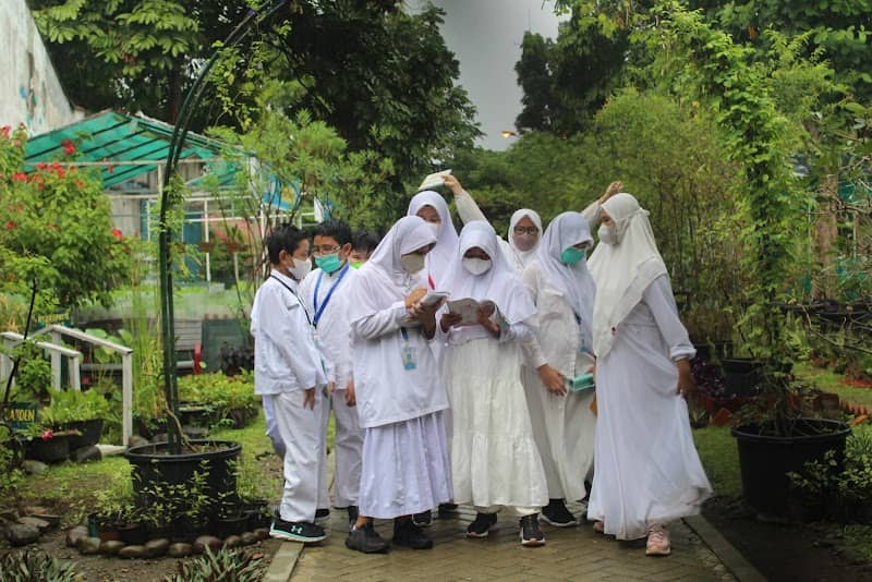 RAZ Garden - Image 2