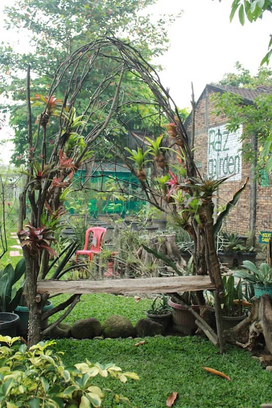 RAZ Garden - Image 1