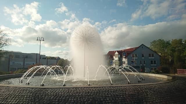 Brunnen Pusteblume - Image 1