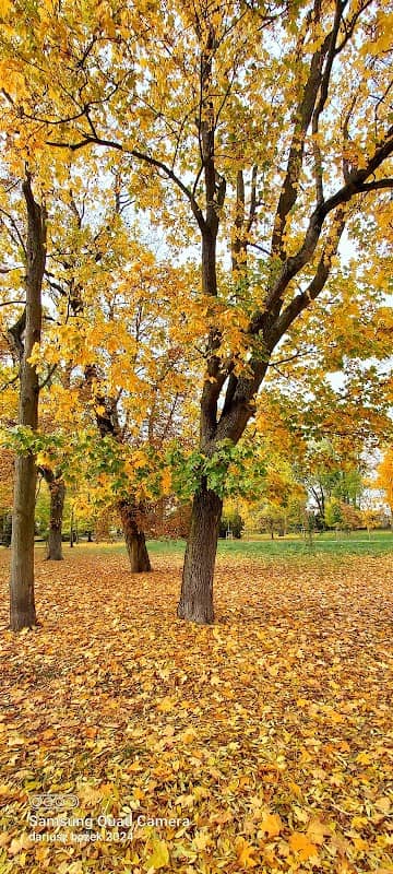 Park 3 Maja - Image 1