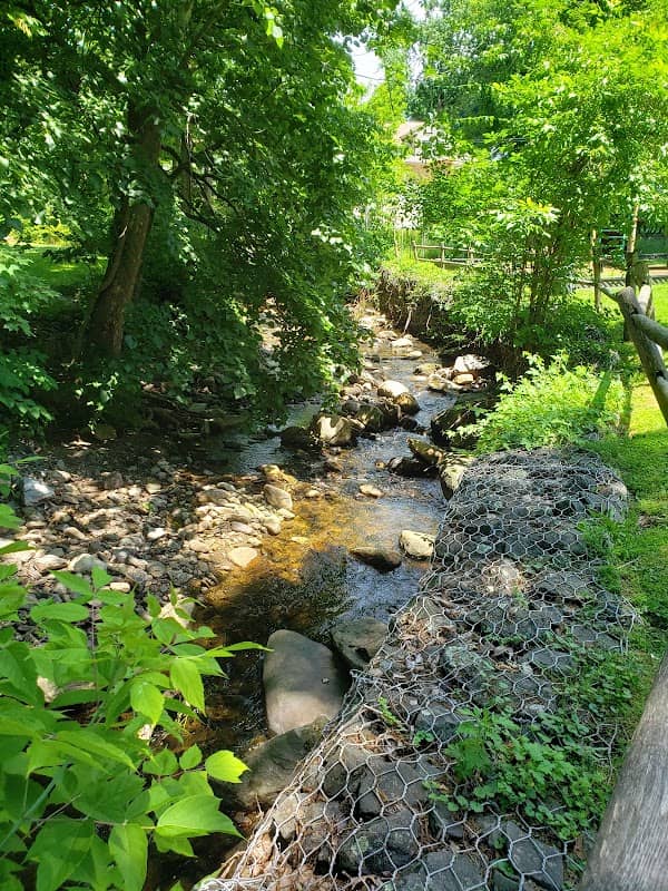 Dale Avenue Park - Image 2