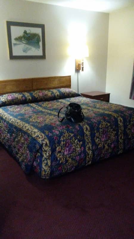 The Budget Inn - Image 1