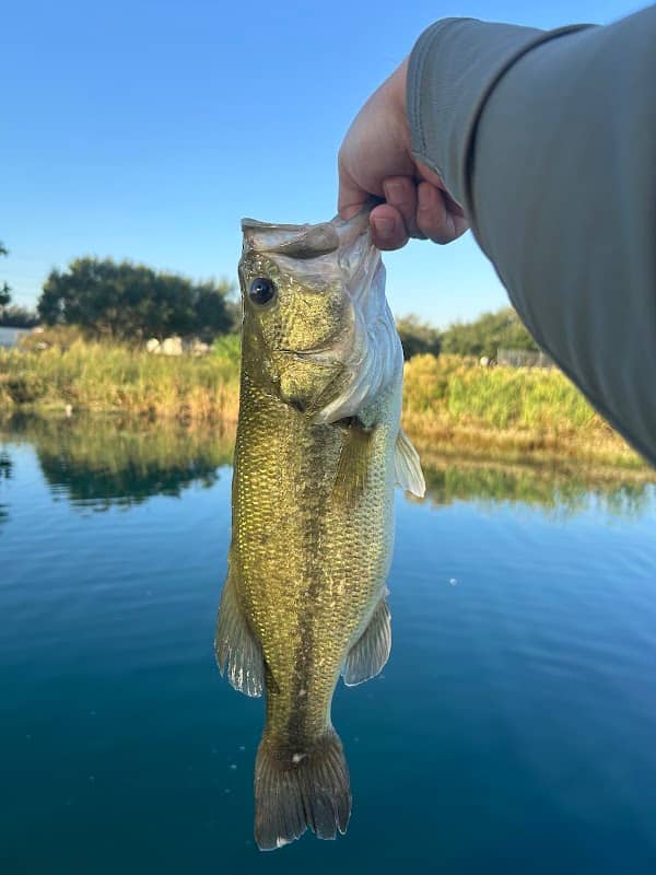 Lake Jessup - Image 1