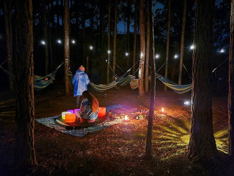 Jaybird Hammock Farm - Image 2