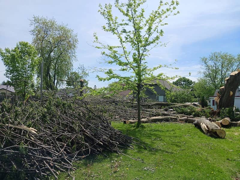 Woodhouse Park - Image 1