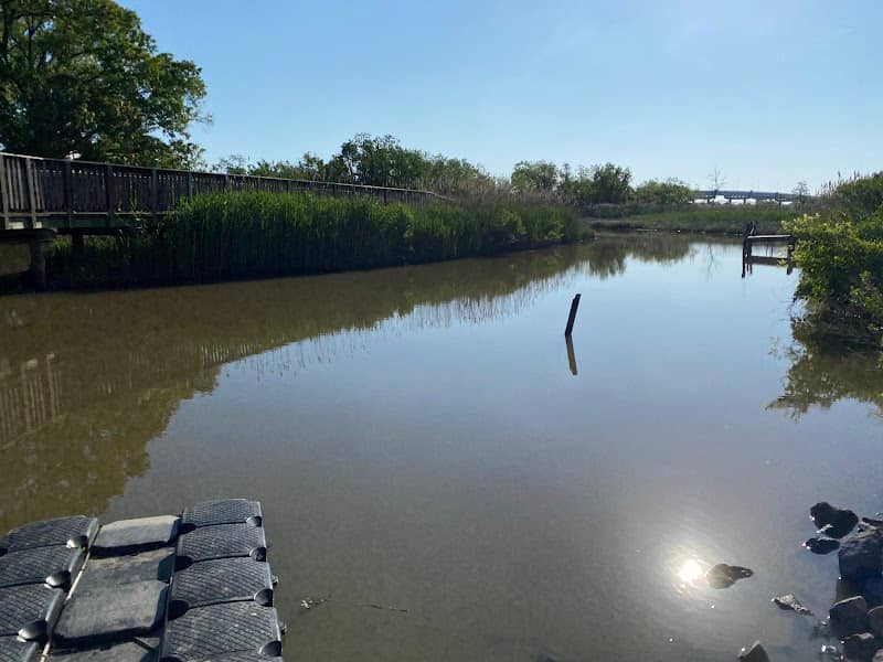 Kayak Launch Point - Image 1