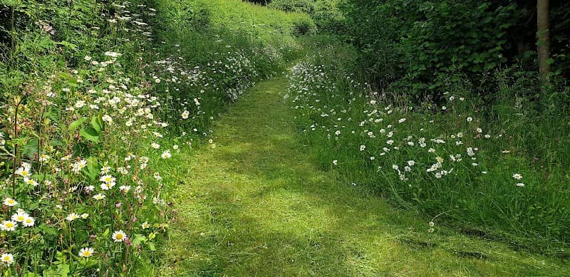 Community garden - Image 1