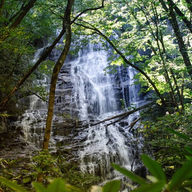 Horse Trough Falls - Image 1