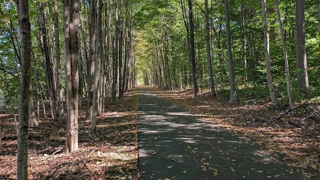 Leveaux Park - Image 1