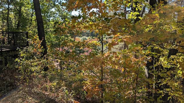 Leveaux Park - Image 2