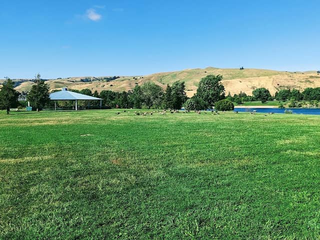 Ensenada North Picnic Area - Image 2