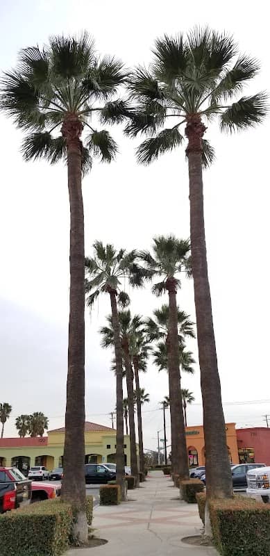 San Bernardino County Regional - Image 1