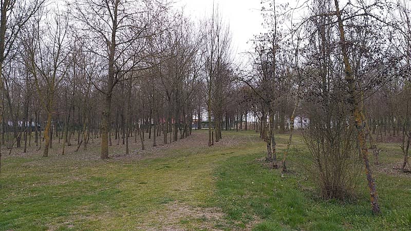 Parco Via Santa Caterina - Image 1