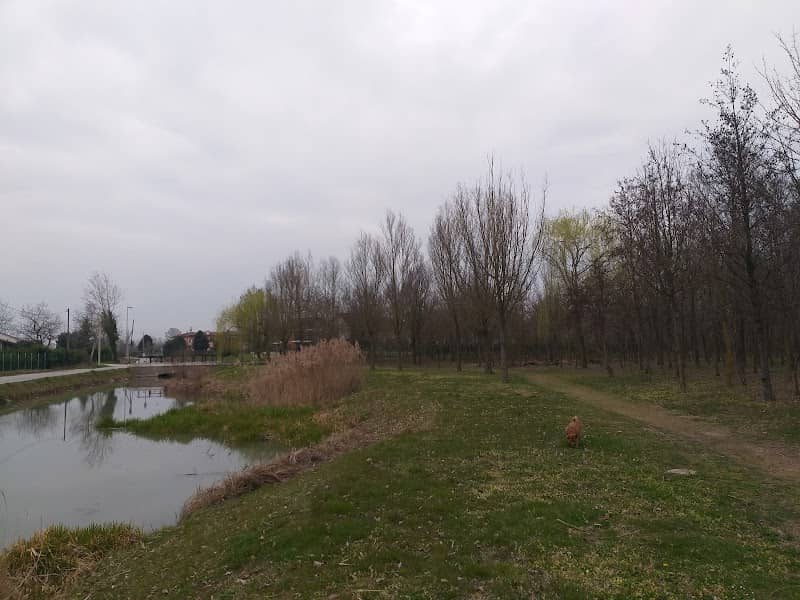 Parco Via Santa Caterina - Image 2