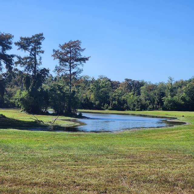 Lazarre Park - Image 1