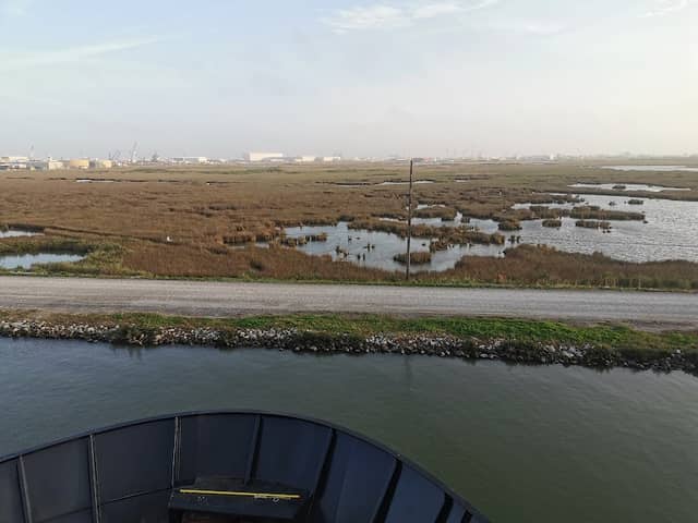 Port Fourchon Estuary - Image 1