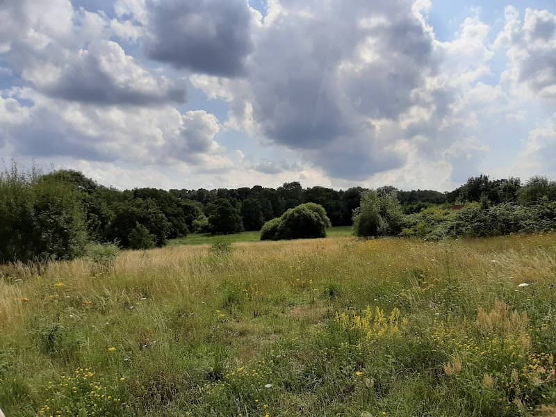 Queen's Hills Community Park - Image 1