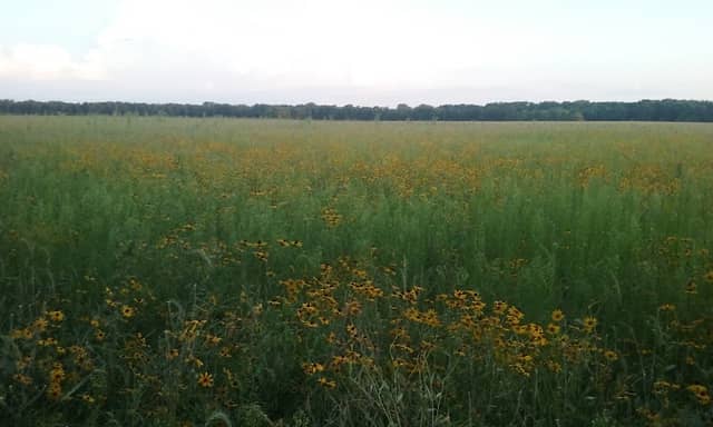 William H. Houlton Conservation Area - Image 2