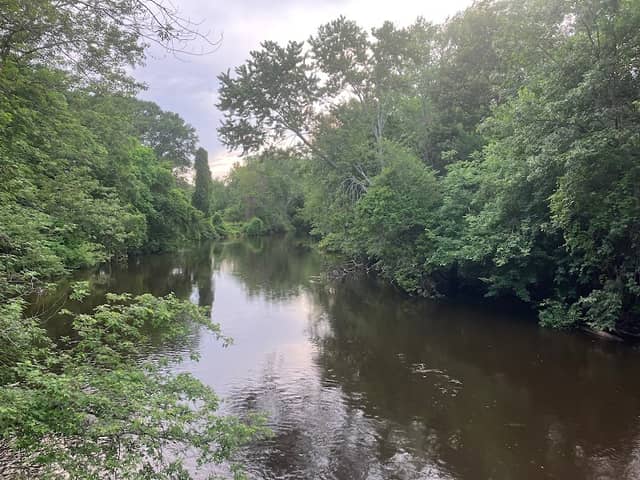Charles River Greenway Access - Image 2