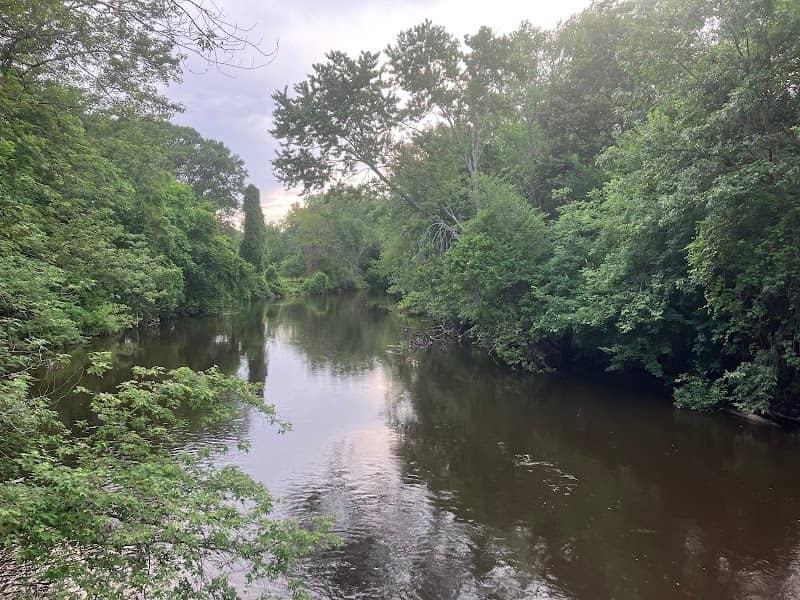 Charles River Greenway Access - Image 2