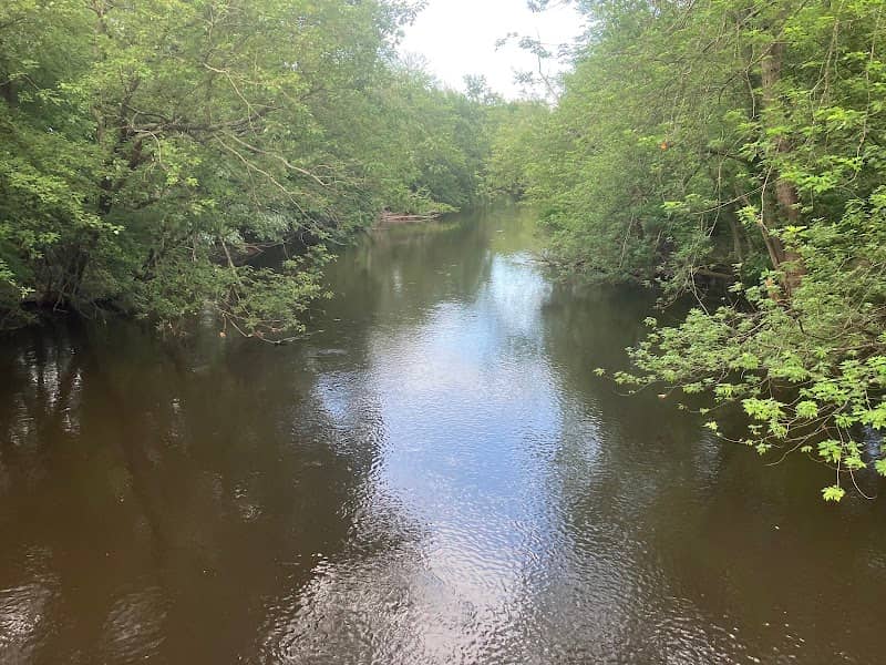 Charles River Greenway Access - Image 1