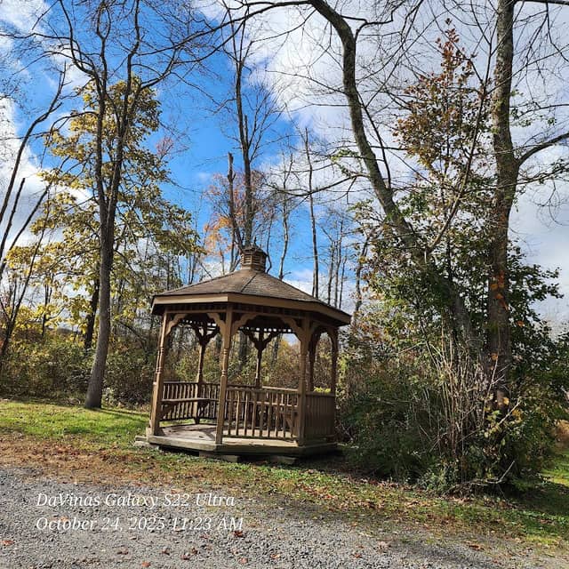 Natural Park - Image 1