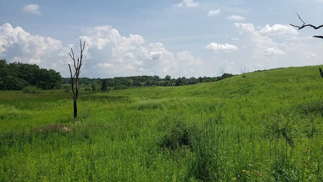 Pickerel Lake Fen State Natural Area - Image 1