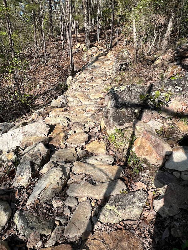 Raven Roost & Truckin’ trail - Image 2