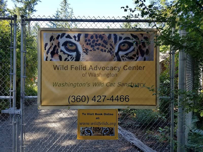 Wild Felid Advocacy Center of Washington - Image 1