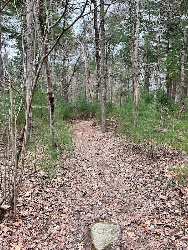 Stone Farm Conservation Area - Image 1