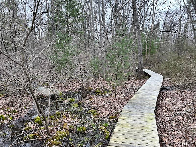 Stone Farm Conservation Area - Image 2