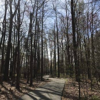 Matteson Trail - Image 1
