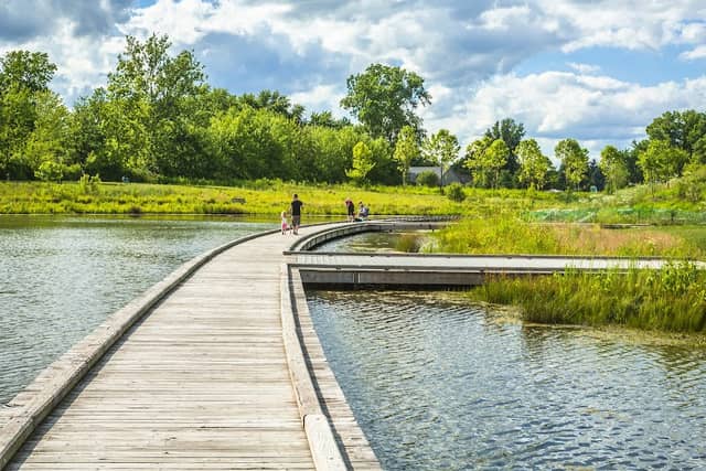 Central Park Boardwalk - Image 1