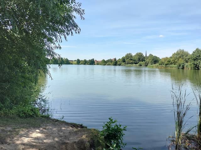 Dannenberger Stadtwald - Image 1