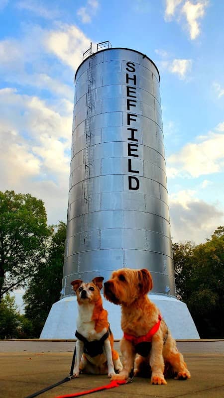 Sheffield Standpipe - Image 2