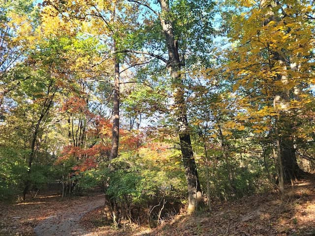 Quailwoods Park - Image 1