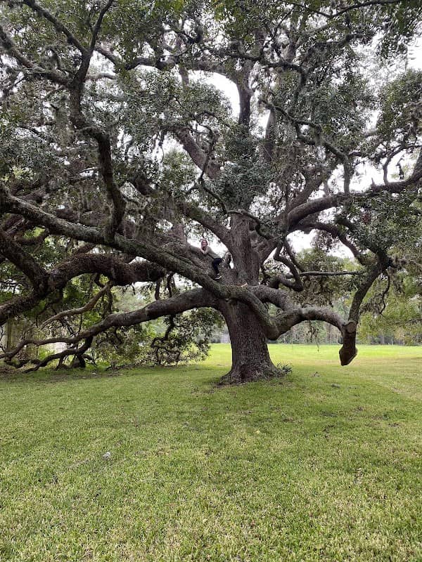 Forest Bend Park - Image 3