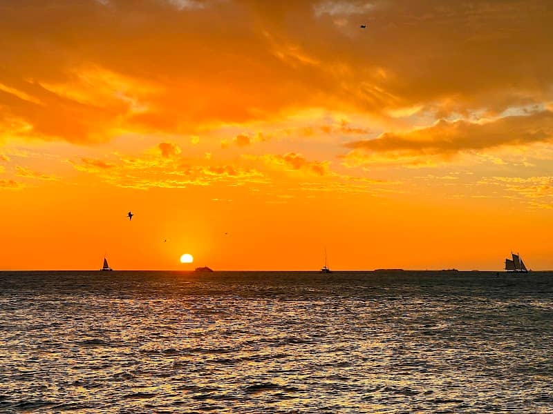 Sunset Celebration at Mallory Square - Image 3