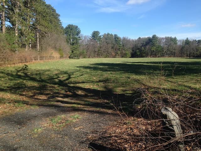 Plimpton Field - Image 3