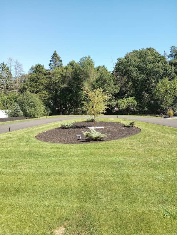 Plimpton Field - Image 1