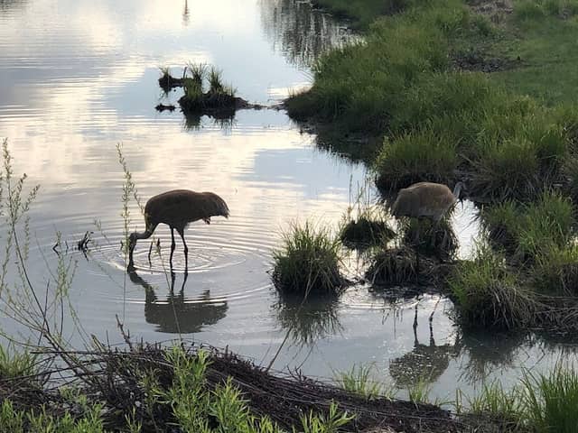 Prairie Park - Image 2