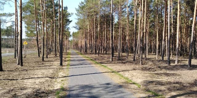 Ścieżka rowerowa Czerwieńsk <-> Nietków - Image 1