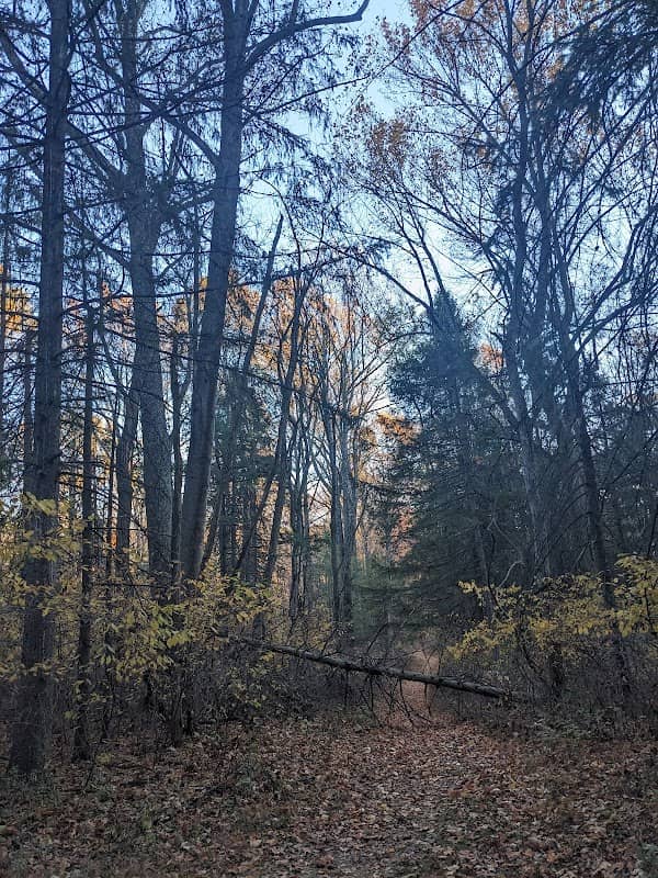 Michaux Mount Hope Trailhead - Image 1