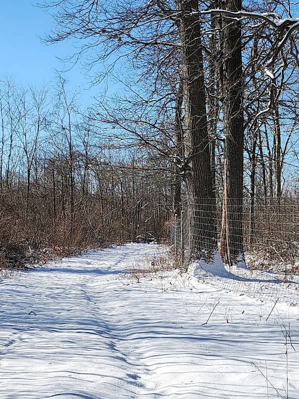 Michaux Mount Hope Trailhead - Image 2