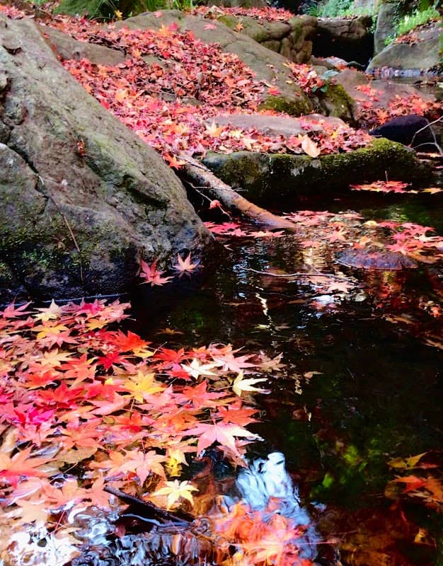 Izumi Falls - Image 2