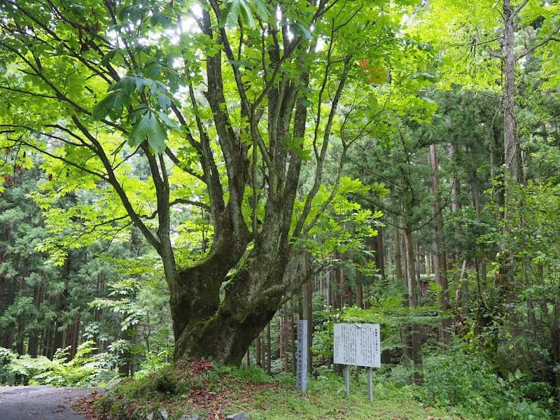 折越峠 - Image 1