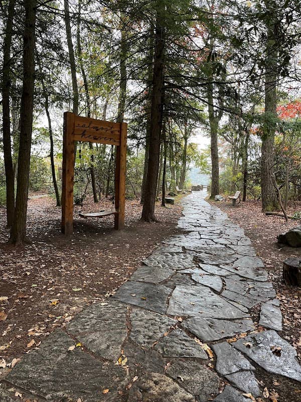 Almost Heaven Swing at Coopers Rock State Forest - Image 1
