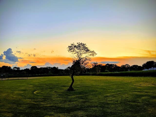 Campanelli Park - Image 1