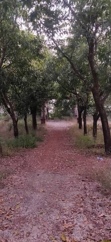 Parque de Piedade - Image 2