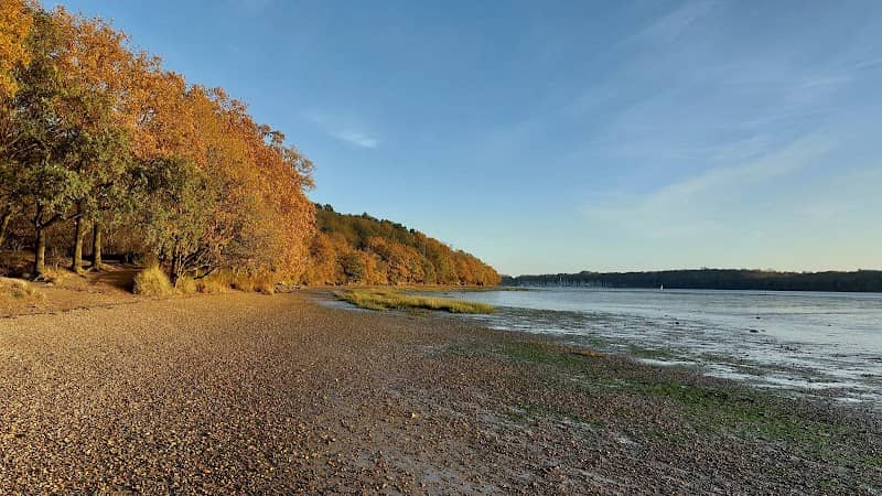 Bridge Wood - Image 2